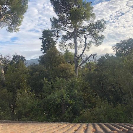 Les Magnolias Bed & Breakfast Marseille Bagian luar foto