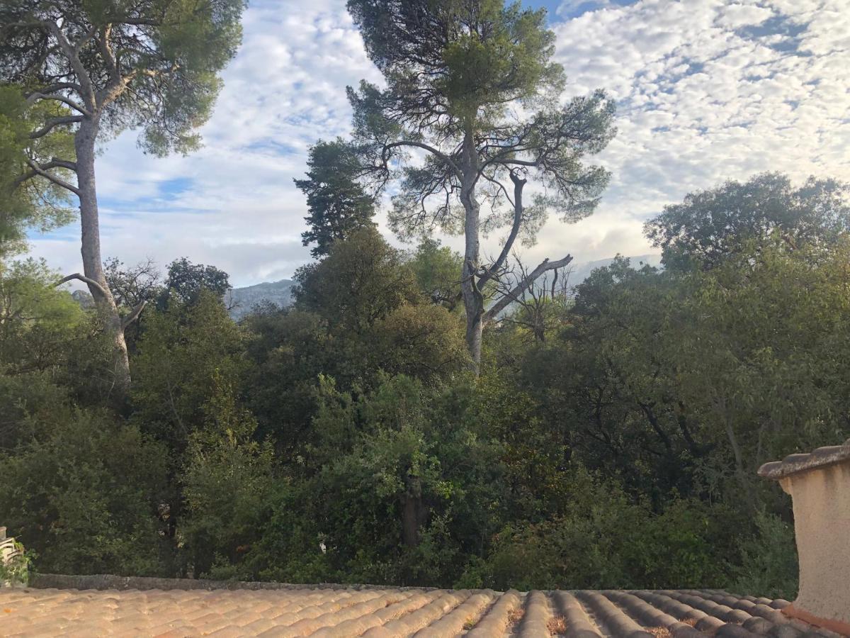 Les Magnolias Bed & Breakfast Marseille Bagian luar foto